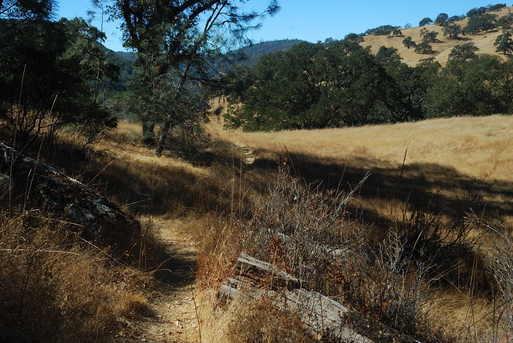 Willow Ridge Trail None