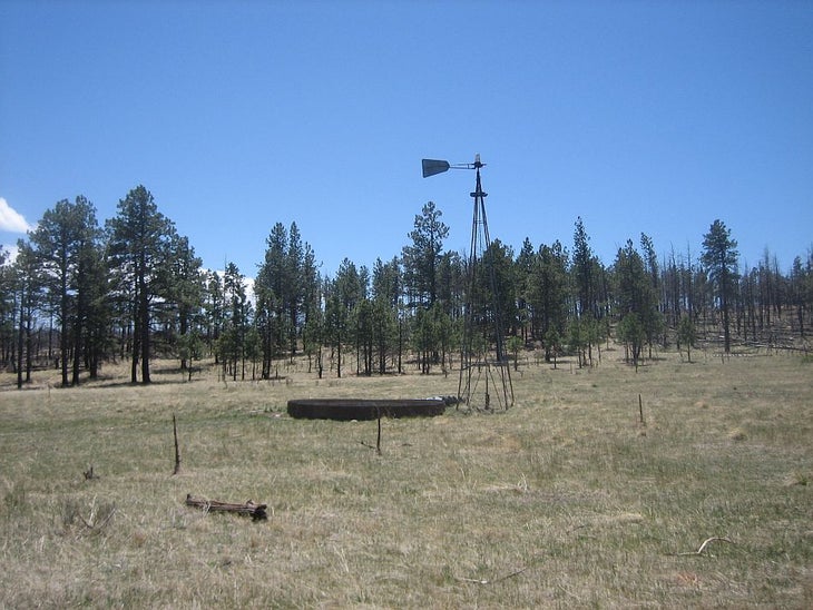 Wind Mill None
