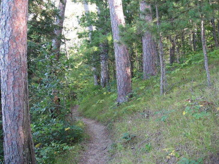 Winding trail None