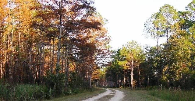 Winding Trail None