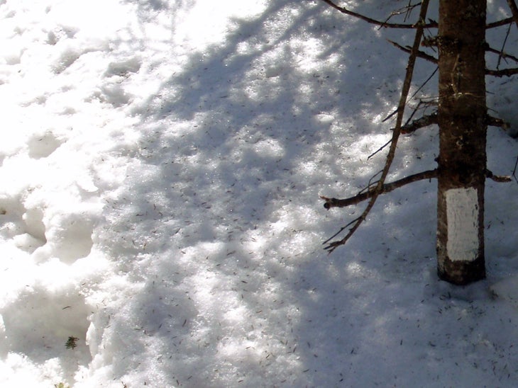 Winter Blaze None