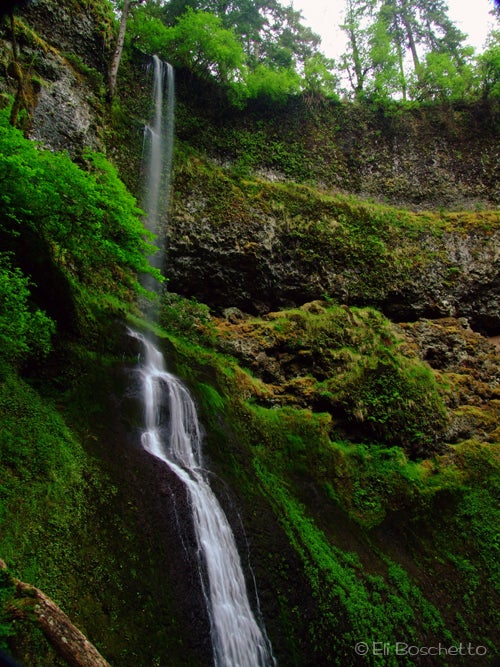 Winter Falls None