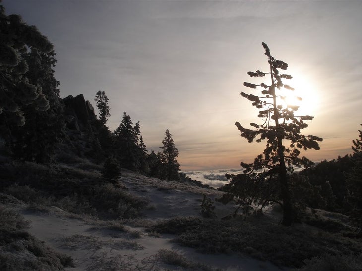 Winter Scene None