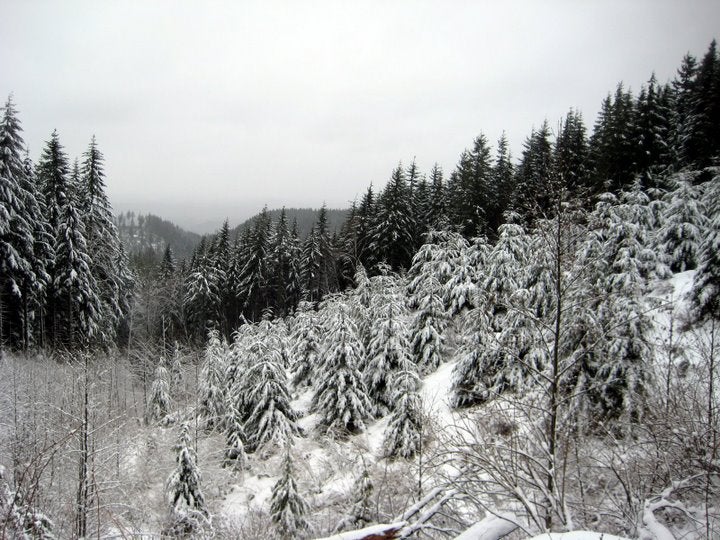 Winter Vista None