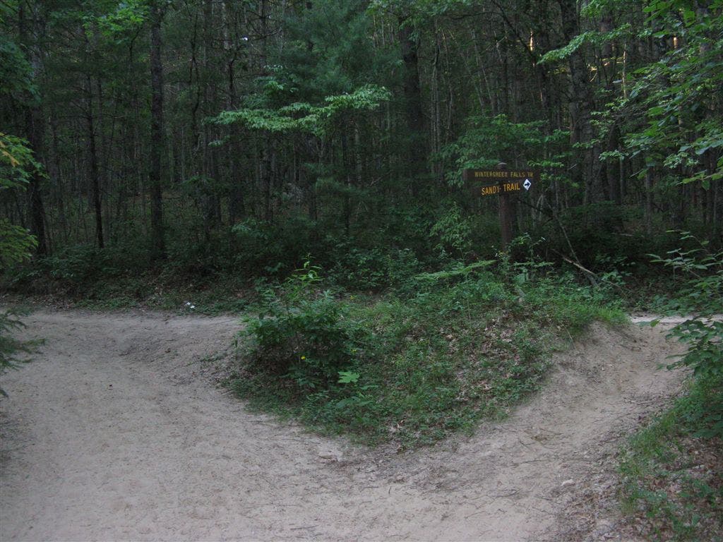 Wintergreen Falls Trail Junction None
