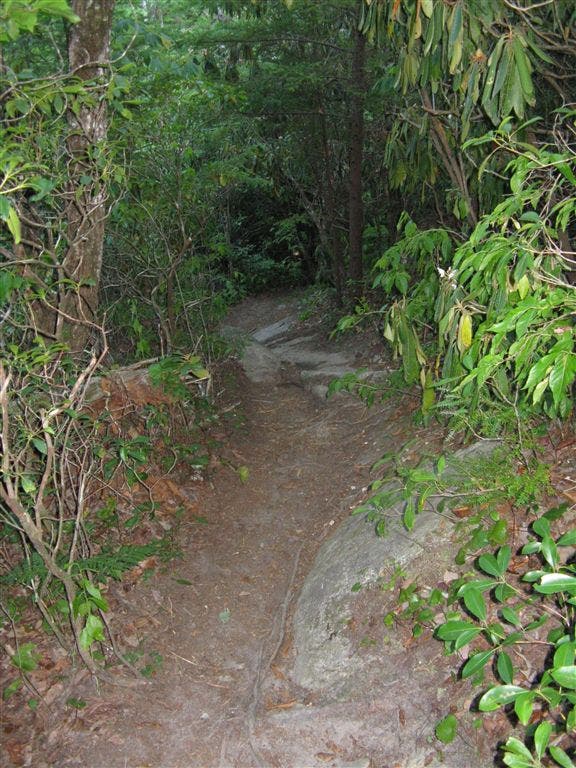 Wintergreen Falls Trail None