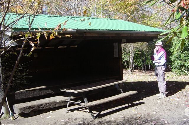 Wise Shelter None