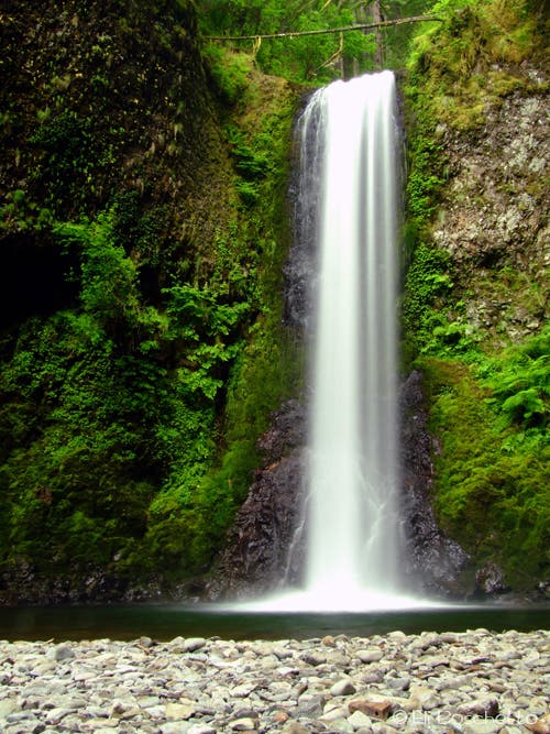 Wisendanger Falls None