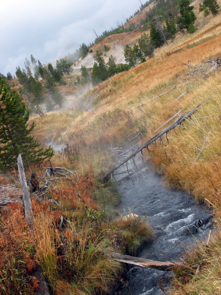 Witch Creek None