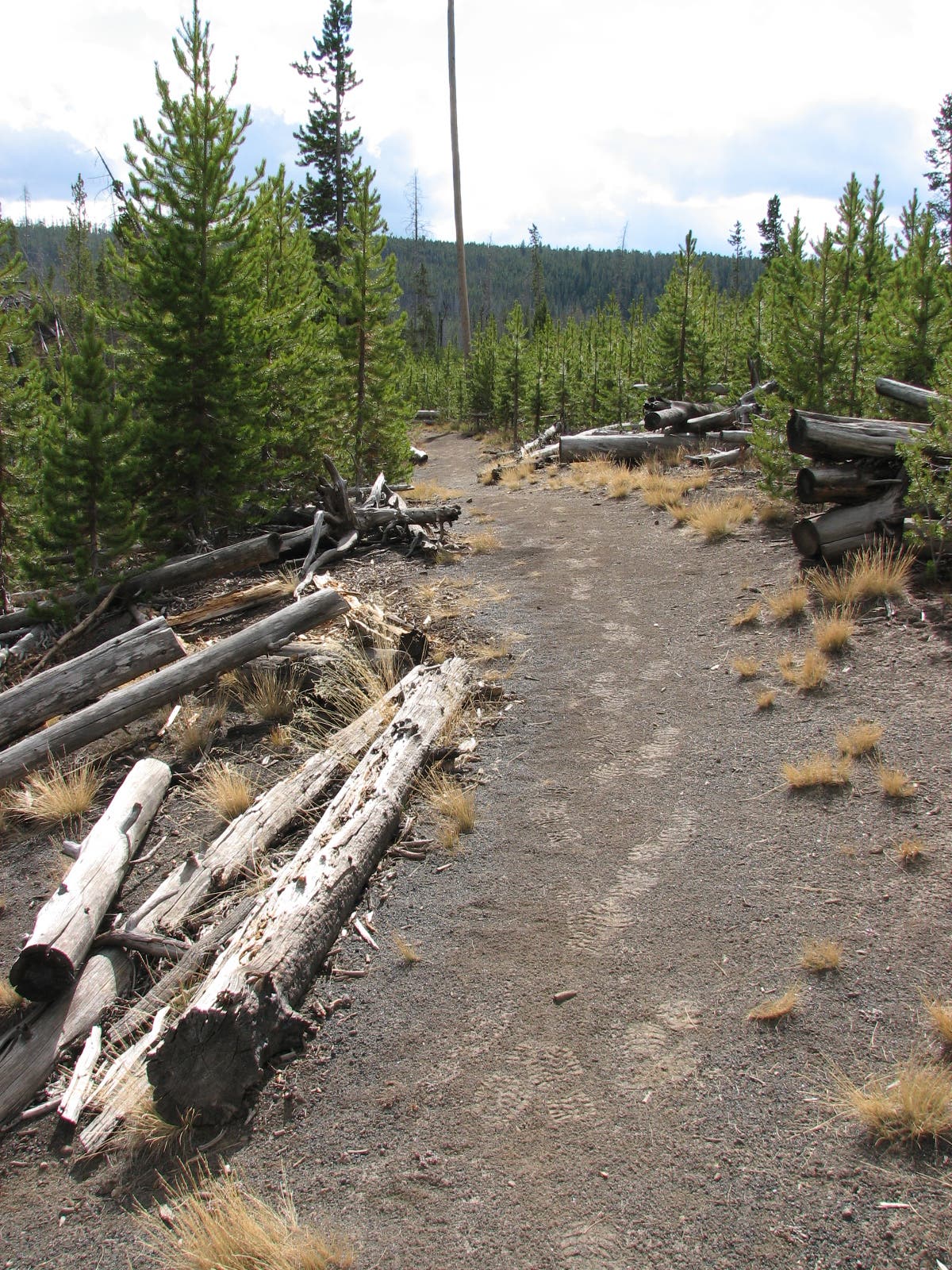 Wolf Lake Trail None