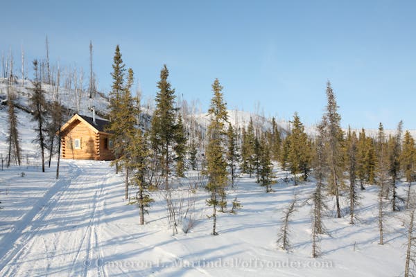 Wolf Run Cabin Aproach None