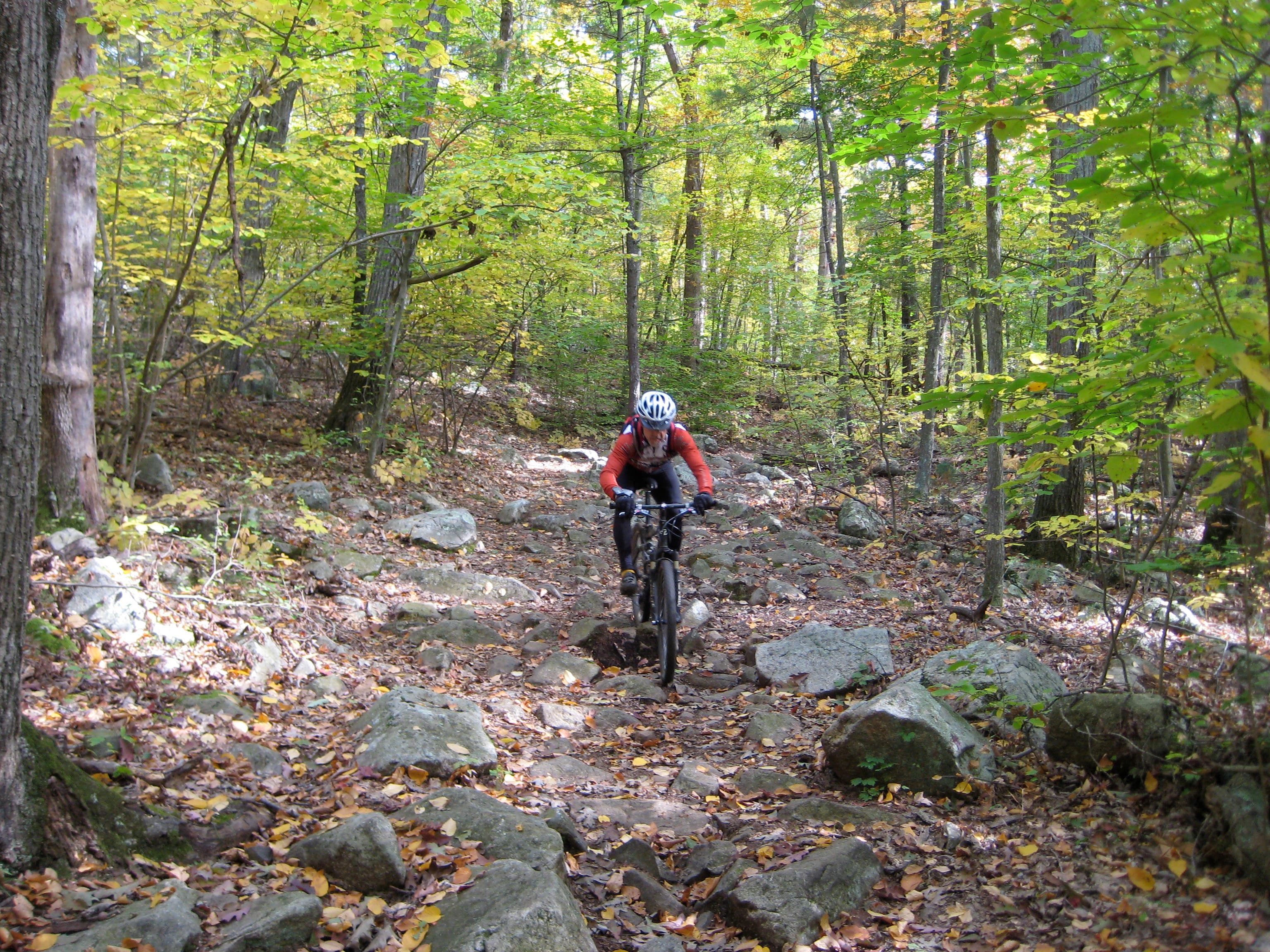 Wompy Rock Garden None