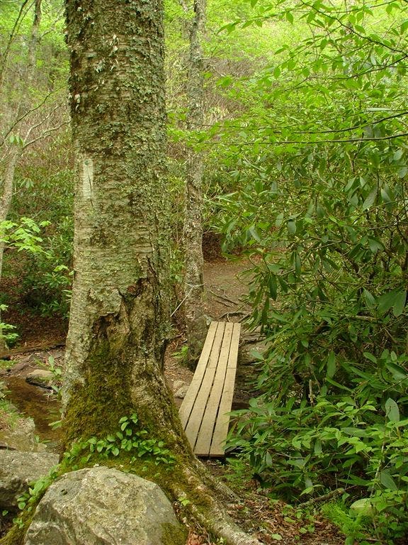 Wood Footbridge None