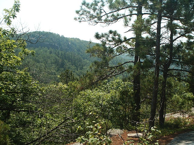 Wooded Hills None