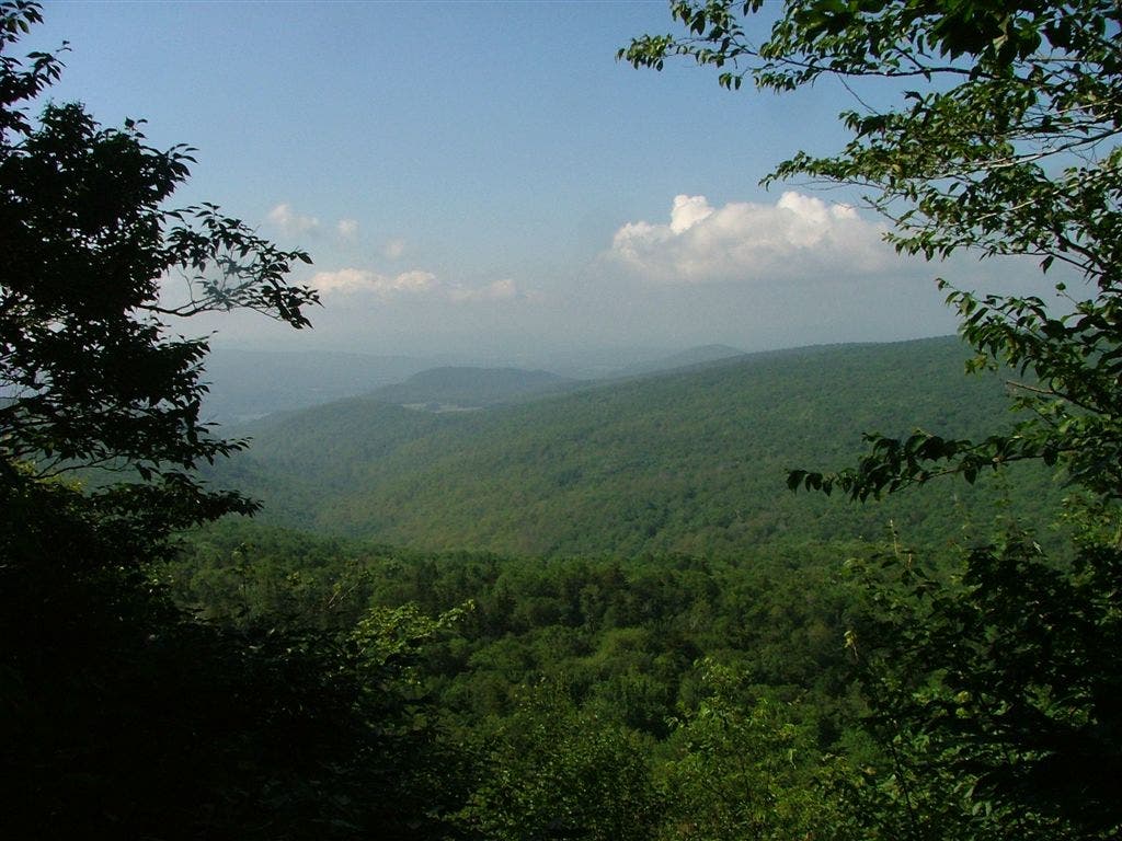 Wooded Landscapes None