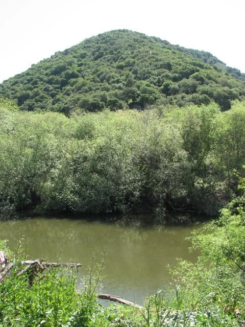 Wooded Slopes None