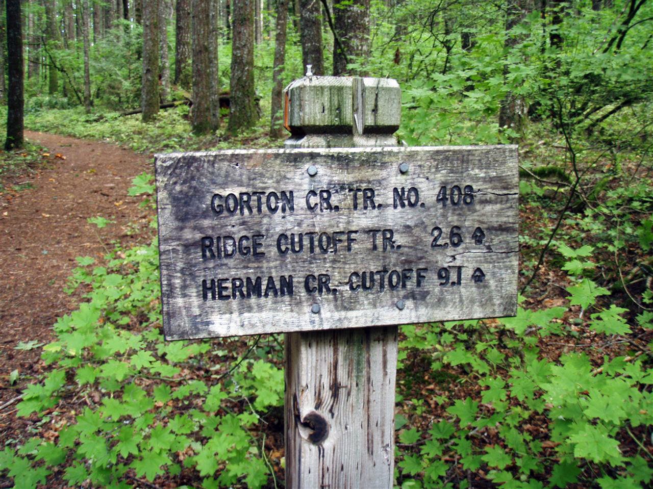 Wooded Trail Sign None