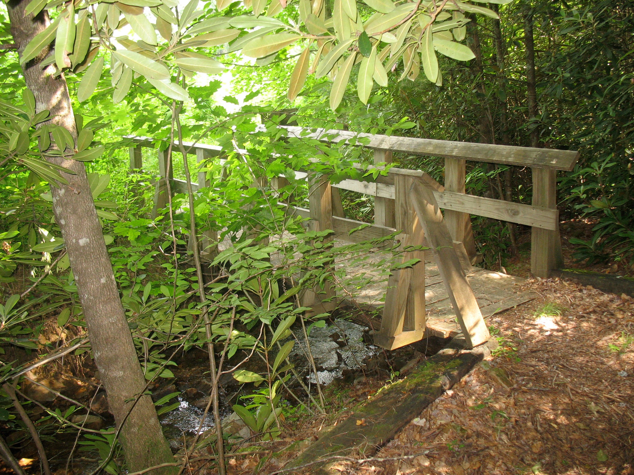 Wooden Footbridge None