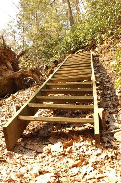 Wooden ladder None