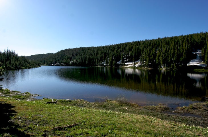 Traverse Wildflower Meadows Between Two Alpine Lakes in Colorado's ...