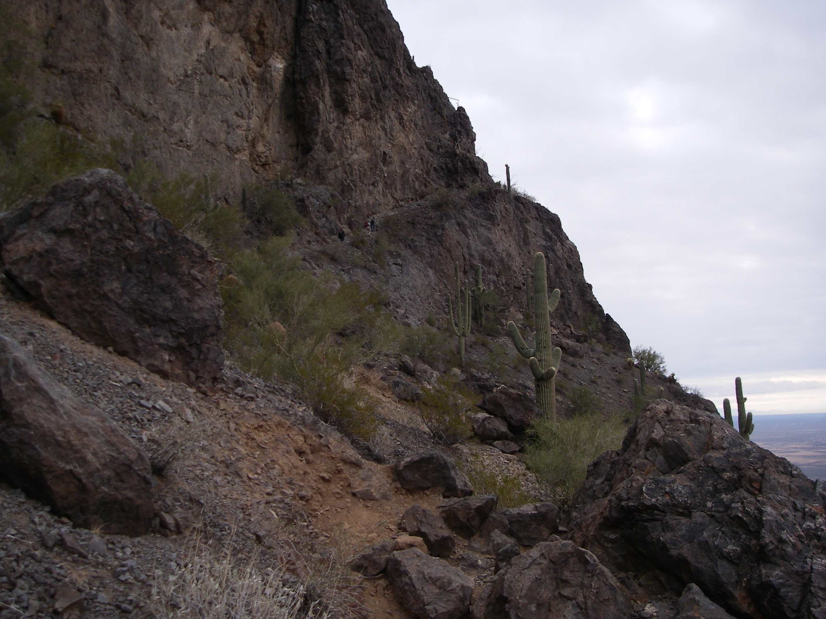 Wow, this gets interesting! None