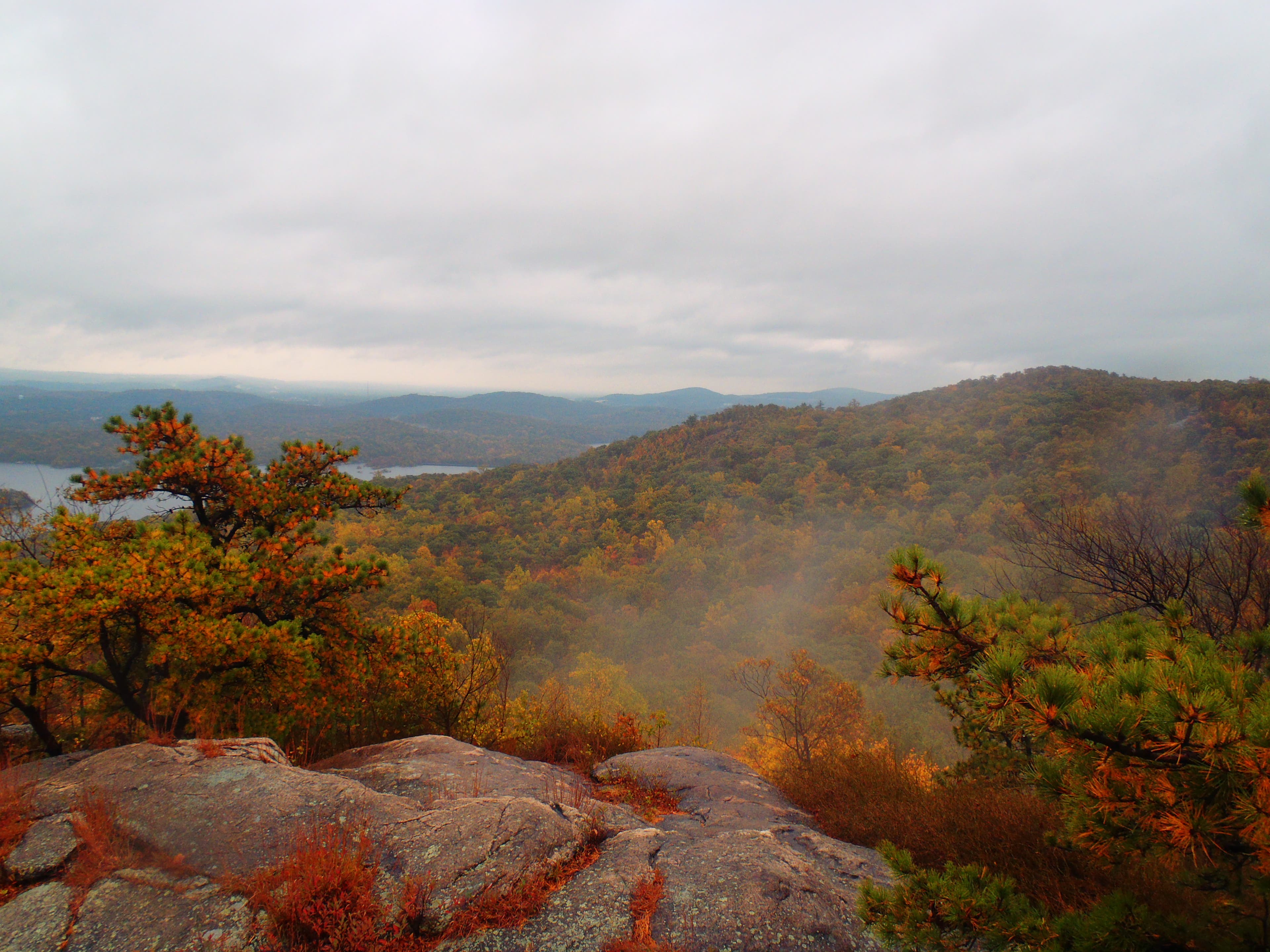 Wyanokie High Point None