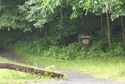 You can cross the street and take the Bear Trail to Upper Buttermilk None