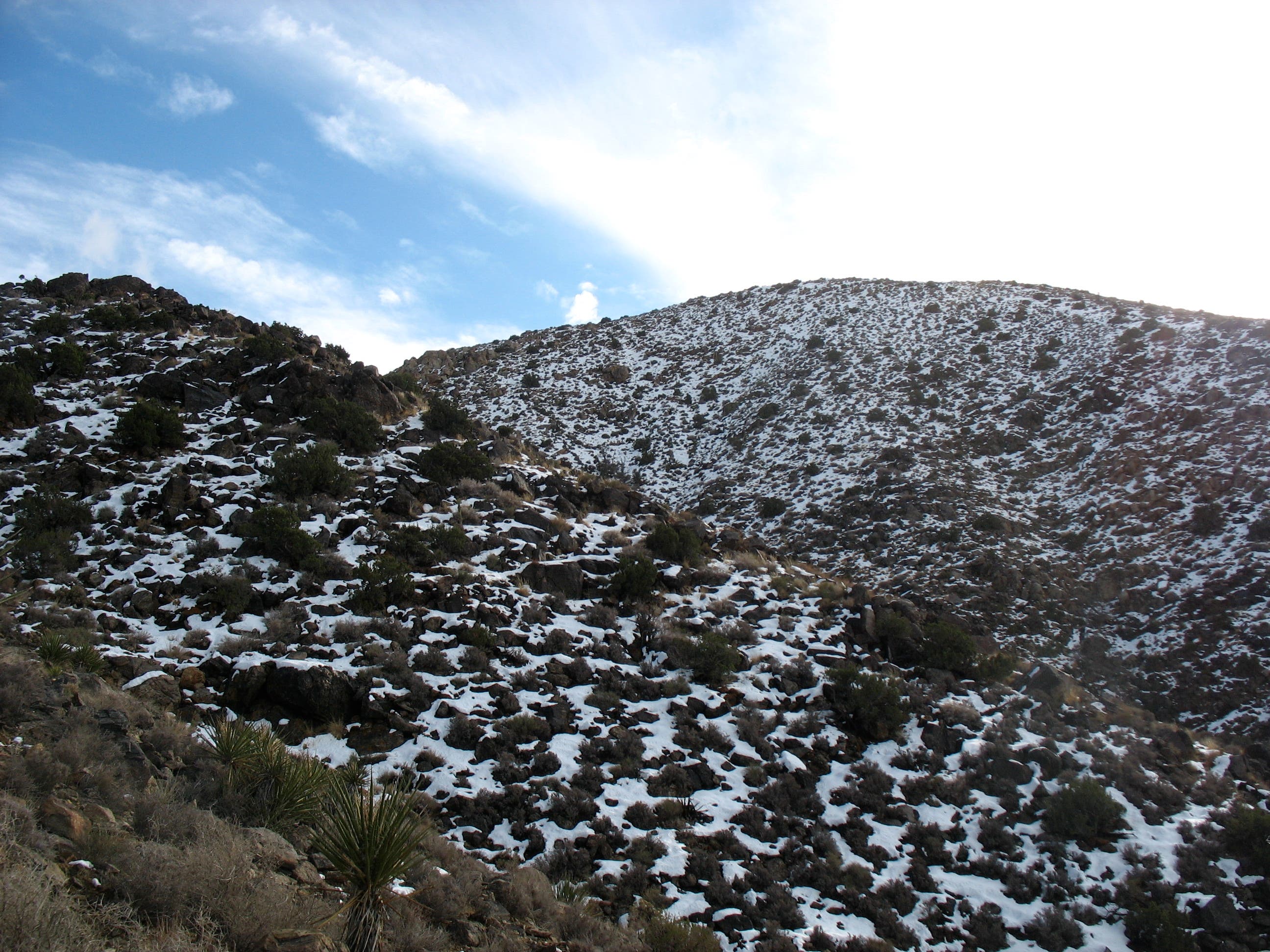 Yucca-and-Rock Covered Ridge None