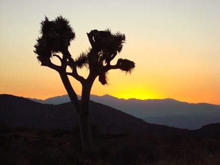 Slideshow Sunsets 8 445x260 20248 slideshow_sunsets_8_445x260