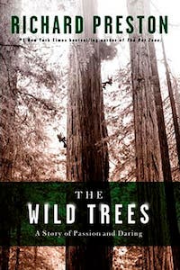 A spellbinding look at California's redwoods and those daring enough to climb them.