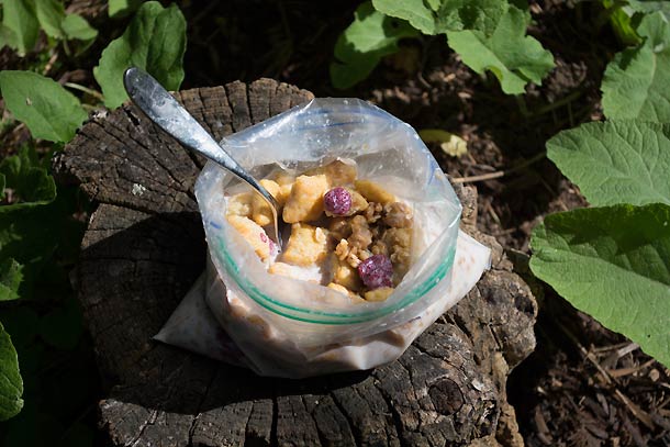 No stove, no mess super-pumped pb&j cereal