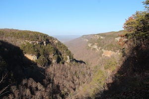 West Rim Trail, GA (4.8 miles; easy) Follow a 300-million-year-old gulch through maples, oaks, and dogwoods on this 4.8 mile loop and keep your eyes peeled for naturally formed caves.