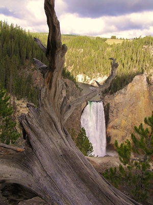 Contest BradMeyer Yellowstone-Canyon 300 28917 contest_BradMeyer_Yellowstone-Canyon_300