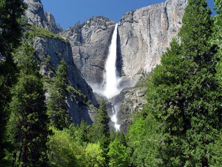 Contest ToddHoltz Yosemite-Falls 445 28920 contest_ToddHoltz_Yosemite-Falls_445
