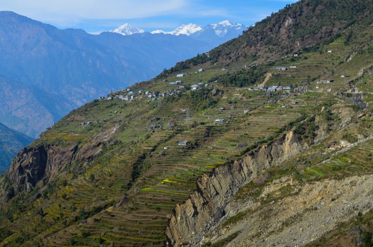 Langtang, Nepal View of the stepped farmland on the road to Langtang, Nepal