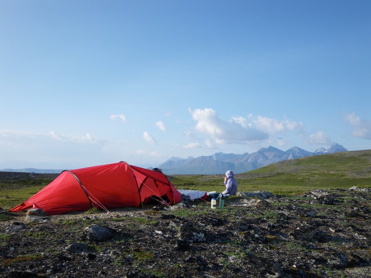 36793178133_5d49cd258d_k Lake Clark