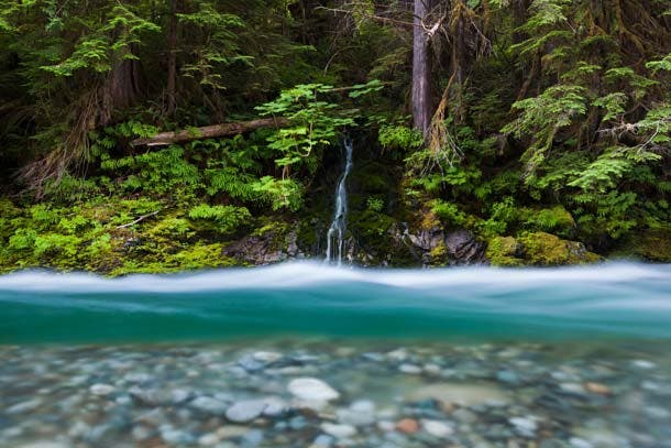 Bacon Creek A small waterfall trickles into Bacon Creek, in a deep, lush valley in Mount Baker-Snoqualmie National Forest right off the North Cascades Highway.…