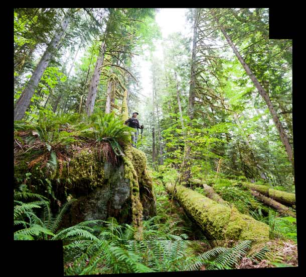 Diobsud Creek Trail Liana Welty (hi mom!) hikes through lush forest (and out onto cliff edges at the behest of her photographer son) along Diobsud Creek Trail in Mount…