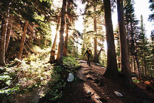 Indian Peaks Wilderness, CO (Jessica Kiser) With the morning sun illuminating the Lake Isabelle Trail in Roosevelt National Forest, Kiser, 22, of Manassas, VA, wanted to frame a photo that did…