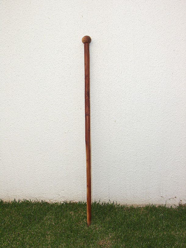 walking stick