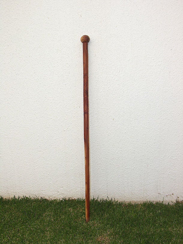 Tree branches = Nature’s trekking poles walking stick