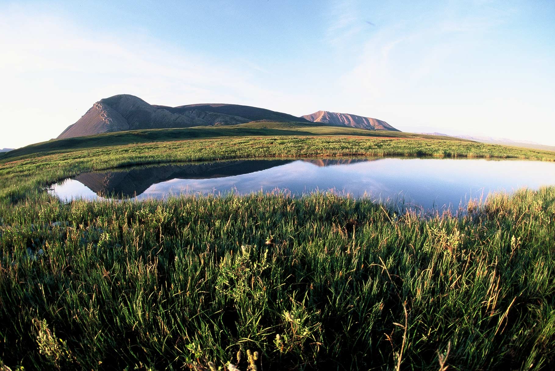 “After pitching my tent and eating dinner at around 1 a.m., I would hike across the tundra,” says Graham.  This is Mount Copplestone reflecting in a…