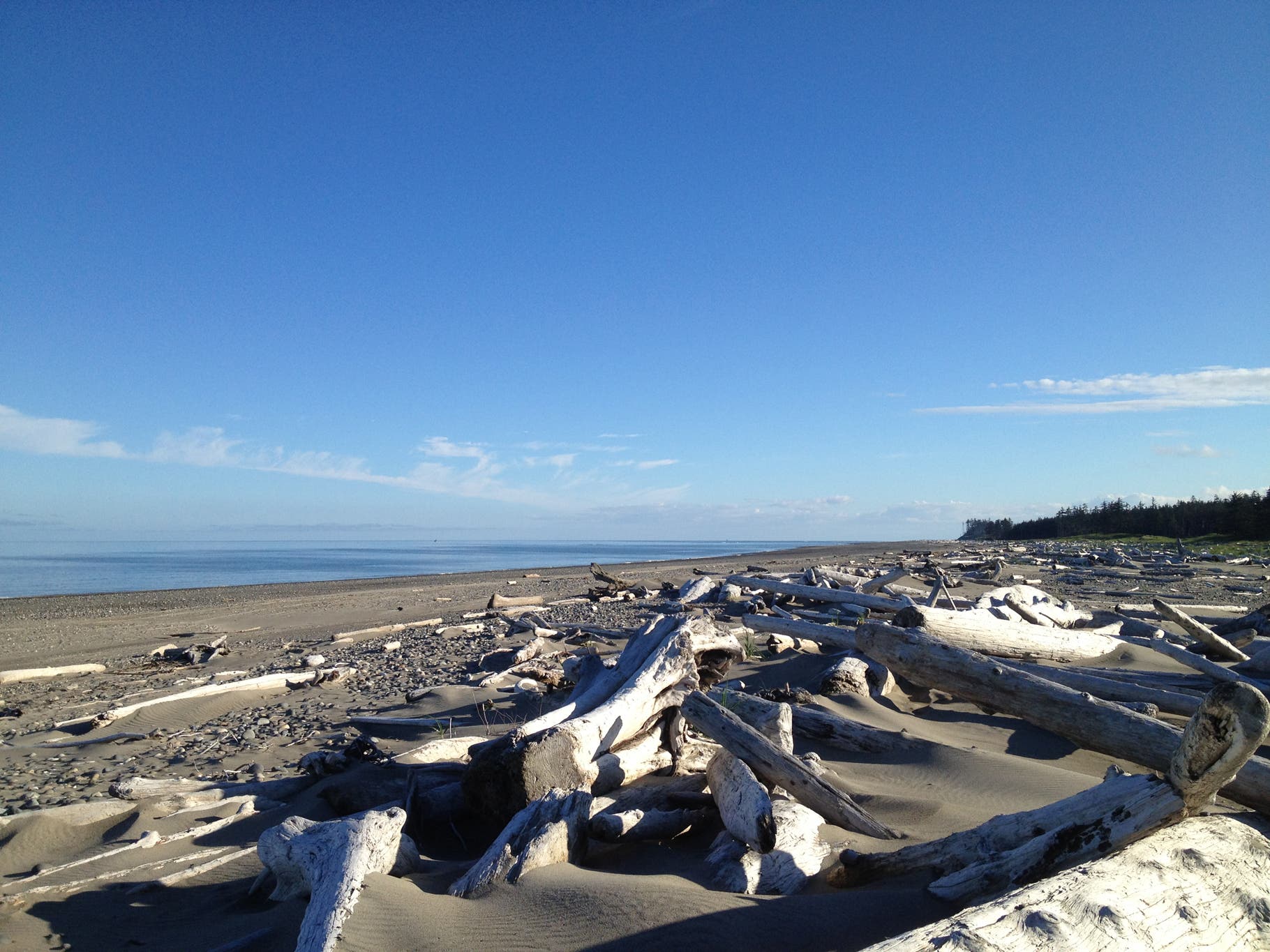 Naikoon Miles of deserted East Beach in Naikoon -- nothing but open sea and driftwood (plus frequent seals and bald eagles).