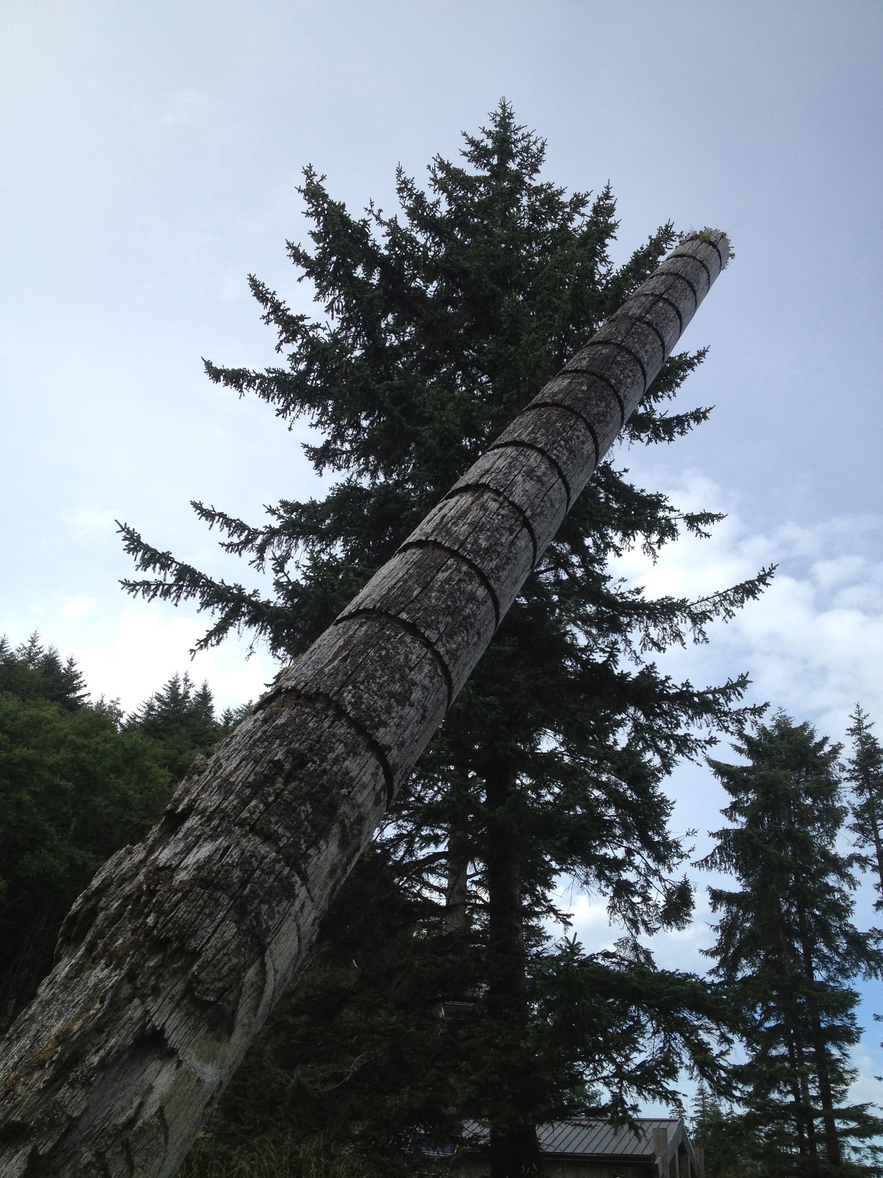Skedans Potlatch circles around the pole helped indicate Haida family status and wealth