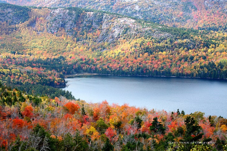 Acadia National Park, Bar Harbor, Maine (Dana Moos via Flickr) None