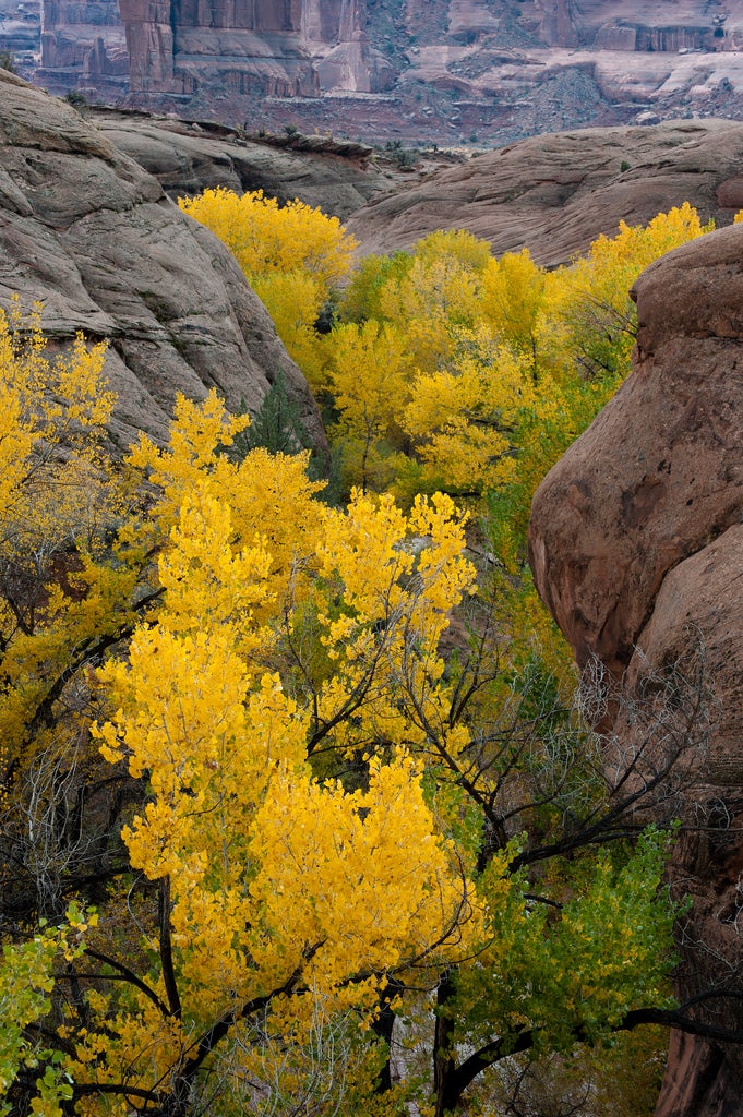 Arches National Park, Utah (Arches NPS via Flickr) None