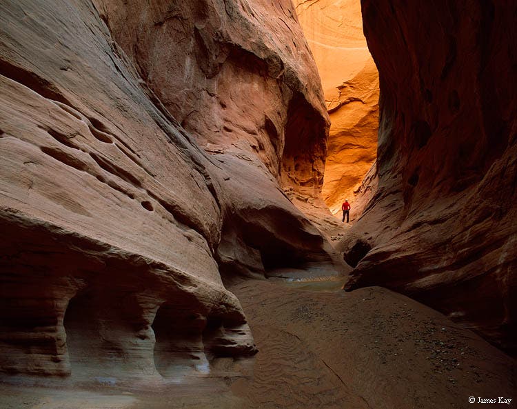 A hiker stands in Cascade Canyon, at a location that was once 30 feet below the surface of Lake Powell and buried under reservoir sediment. As the…