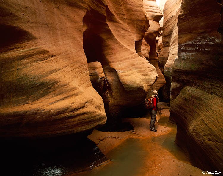 Face Canyon The best way to access the revealed slot canyons is by boat. Paddle or motor up the canyon from the main reservoir until you hit dry land; park the…