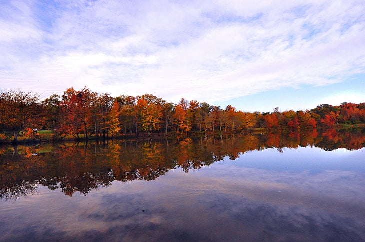 Fall foliage at the pond None