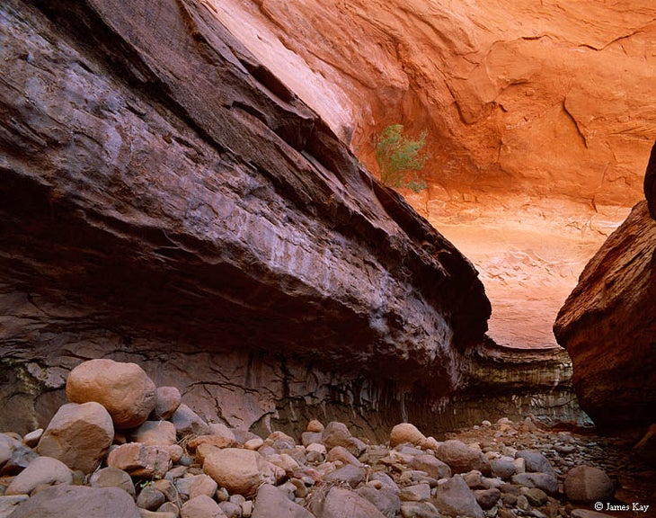 Fiftymile Gulch Since the waters of Lake Powell first invaded Fiftymile Gulch in the late 1960s, Fifty Mile Creek deposited nearly fifty feet of sediment here. Since…
